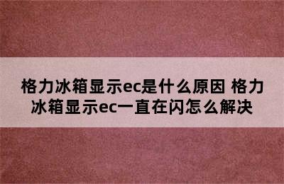 格力冰箱显示ec是什么原因 格力冰箱显示ec一直在闪怎么解决